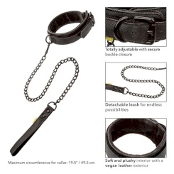 Calexotics - boundless kaulapanta ja leash 1