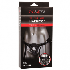 Calexotics - here royal valjaat the queen  - yksi koko 1