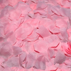 Spicy devil - 100  fuksia petals