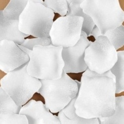 Diablo Picante - 100 White Petals