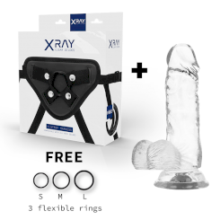 Xray Harness + Clear Cock With Balls ...